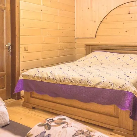 Садиба Данищуків Jaktstuga Verchovyna